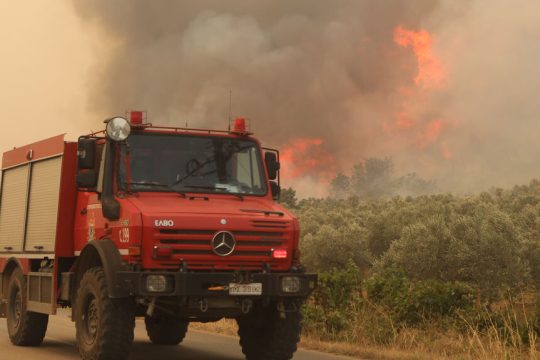 fotia evros